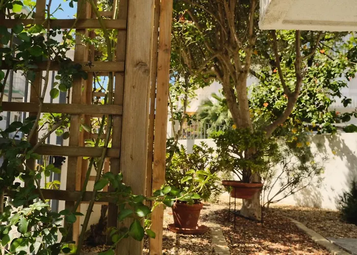 招待所 Flamingo's Bay