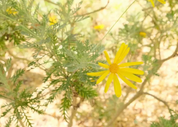 Flamingo's Bay 招待所 *