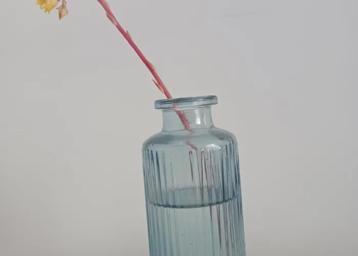 Flamingo's Bay 招待所 *